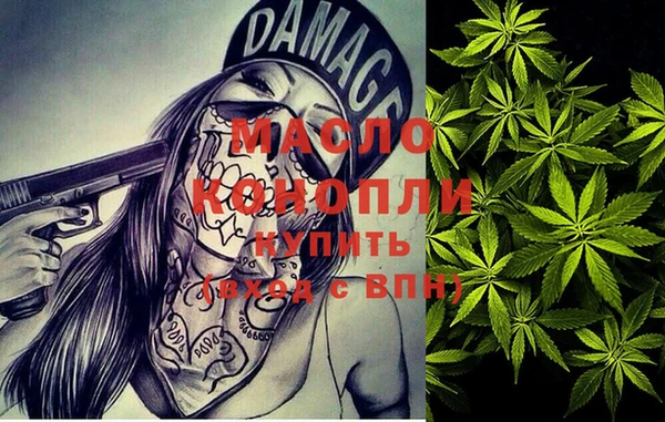 дживик Богородск