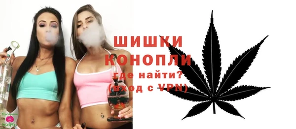 дживик Богородск