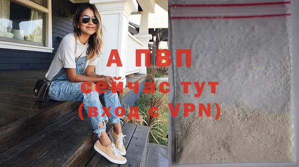 дживик Богородск