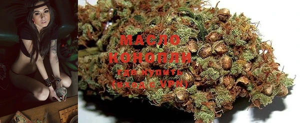 метадон Богданович