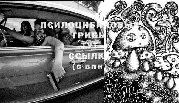 дживик Богородск