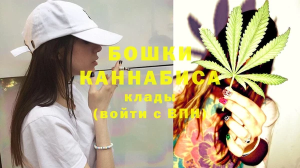 метадон Богданович