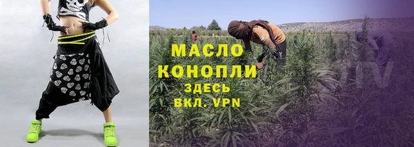метадон Богданович