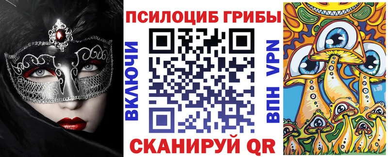 Псилоцибиновые грибы Cubensis  Мостовской 